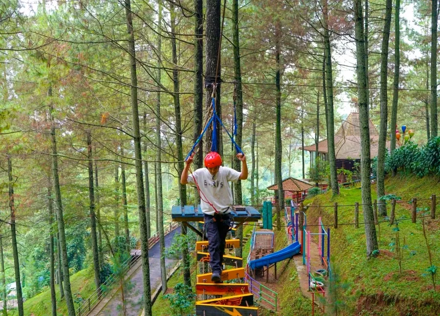 Dago Dream Park